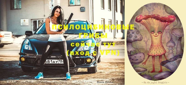 ПСИЛОЦИБИНОВЫЕ ГРИБЫ Беломорск