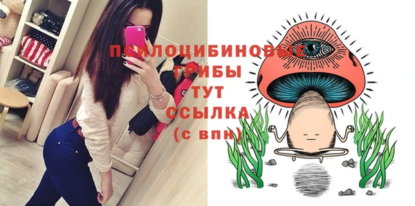 ПСИЛОЦИБИНОВЫЕ ГРИБЫ Беломорск