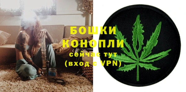 ПСИЛОЦИБИНОВЫЕ ГРИБЫ Беломорск
